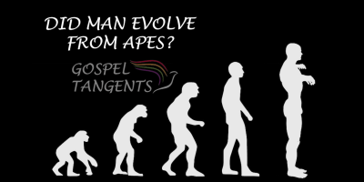 Did Man evolve from apes, or from the dust of the earth as the Bible says? Can/should these be reconciled?